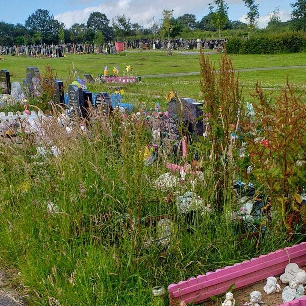 Заросшие могилы на Ландиканском кладбище
