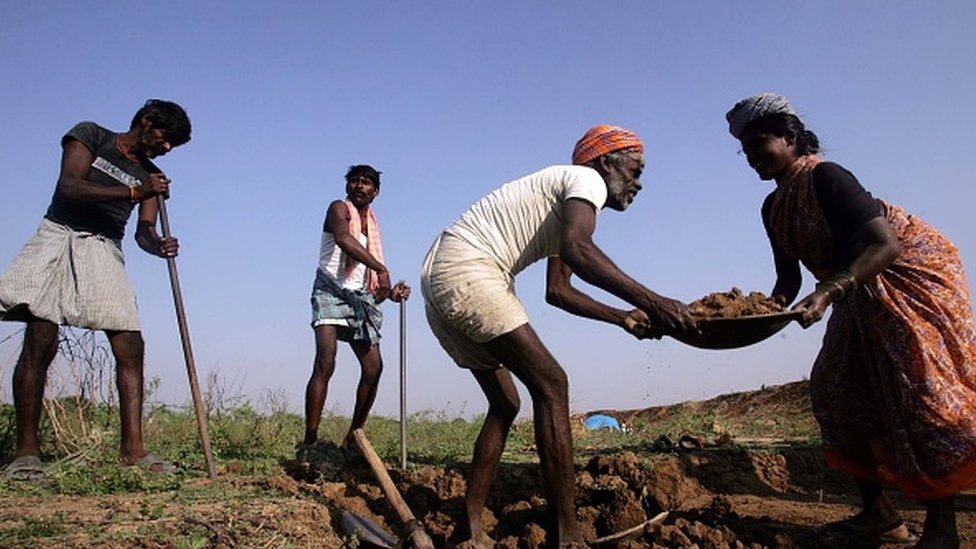 Сельскохозяйственные рабочие в Индии