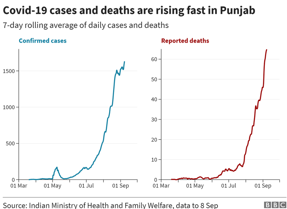 Диаграмма, показывающая ежедневный рост числа случаев и смертей в Пенджабе.
