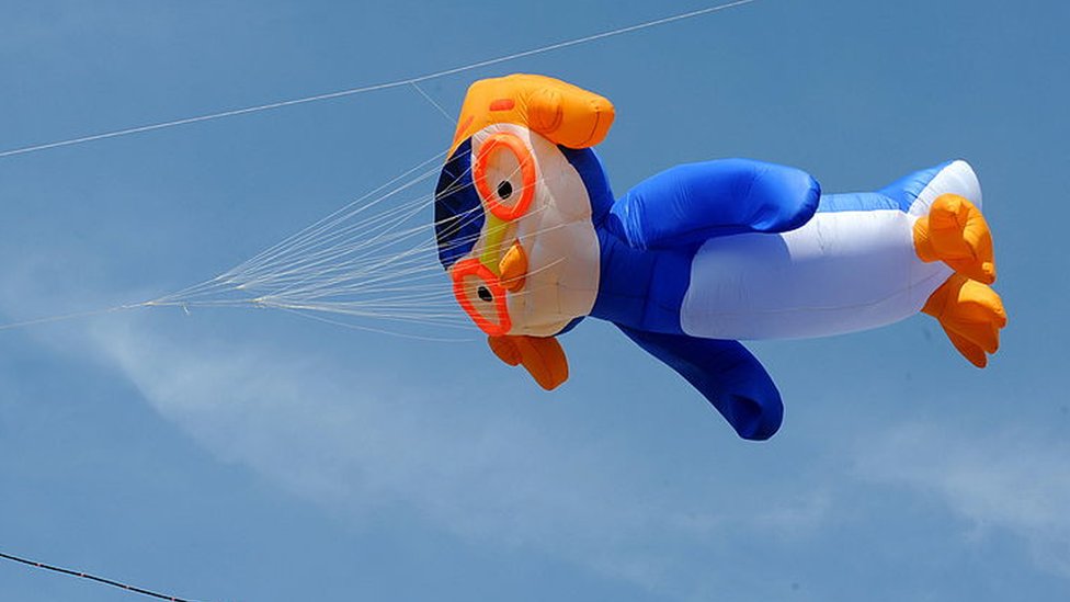 Pororo adalah sesosok tokoh kartun yang populer.