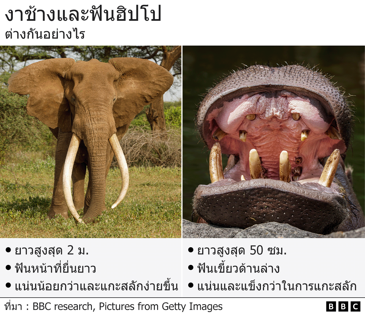 กราฟิก