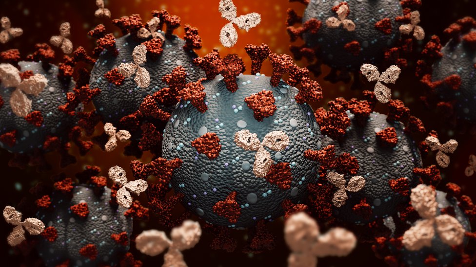 Ilustración de anticuerpos monoclonales atacando a una molécula de coronavirus