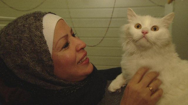 Kunkush the cat reunited with his owner