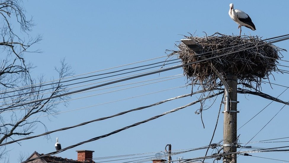 Rode Donje Međurovo