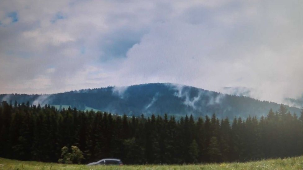 Silvagenitus. Silvagenitus.