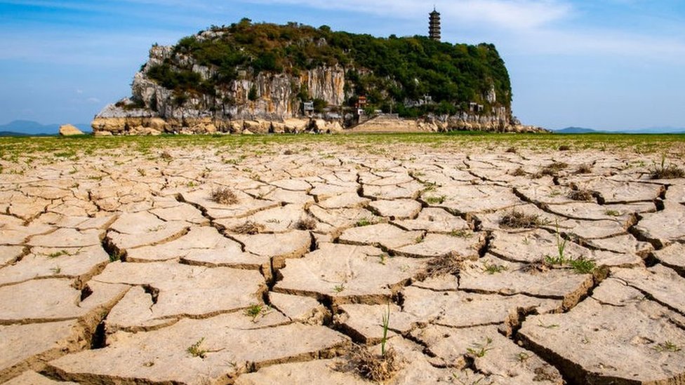 從中國、歐洲、美國極端酷熱到非洲大旱，2022是不是史上最乾旱的一年？
