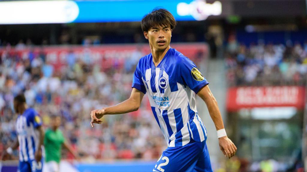 Brighton news: Albion announce Japan tour - BBC Sport