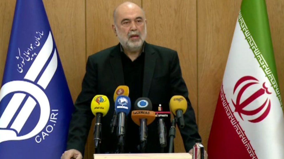 Ali Abedzadeh is shown delivering a statement in an image grab from state-run Iran Press news agency on January 10