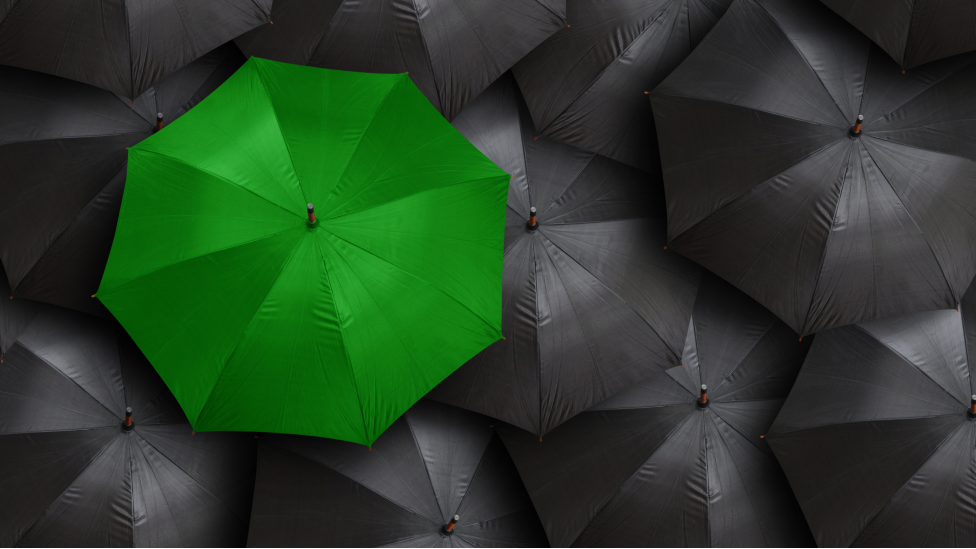 Paraguas verde entre varios negros