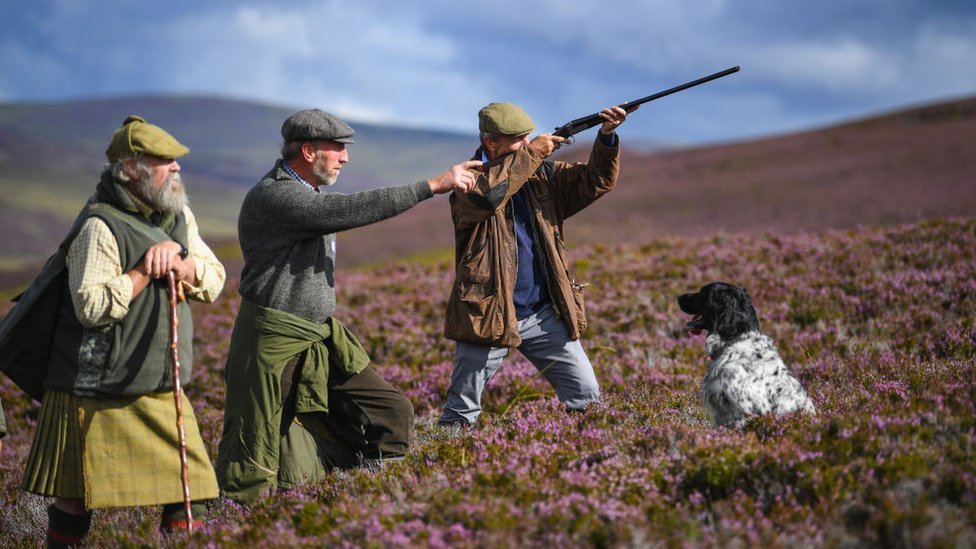 Who owns Scotland? The changing face of Scotland's landowners - BBC News