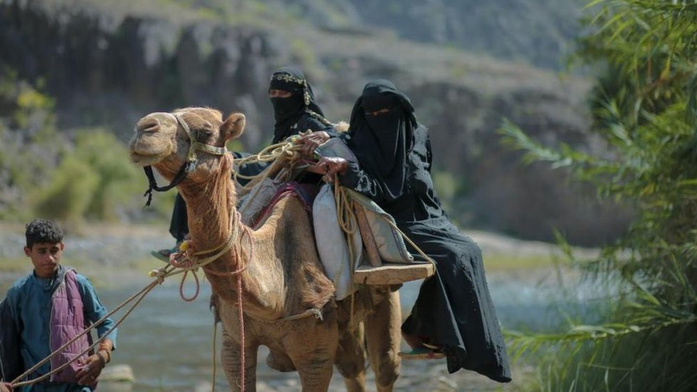 Trudnice na kamili