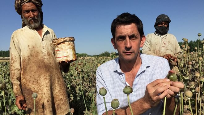 جاستين رولات