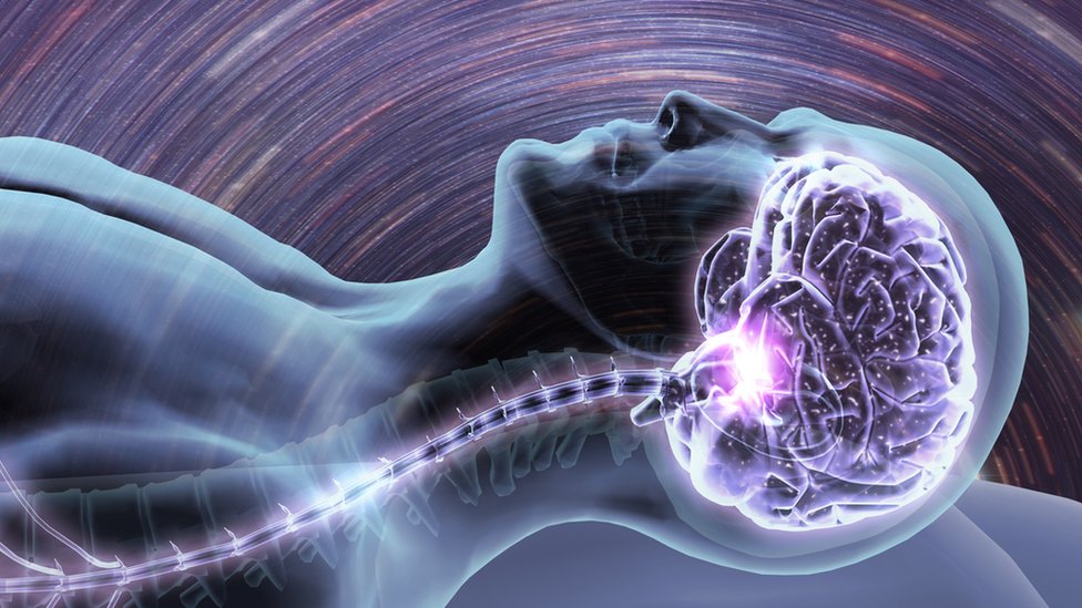 Ilustración con la silueta de un hombre dormido y el cerebro y sistema nervioso superpuesto