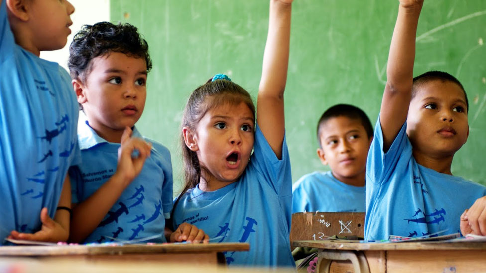 Niños levantando la mano en una clase donde se enseña sobre el tiburón martillo