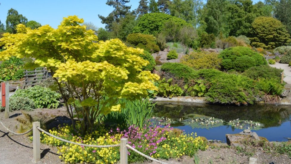 Королевский ботанический сад в Эдинбурге