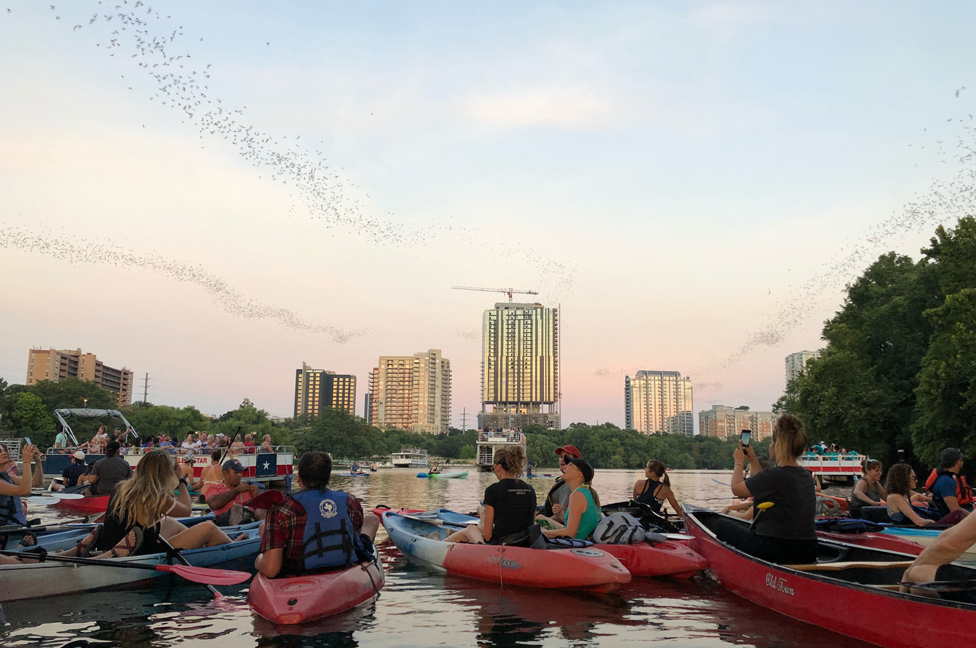 Personas en kayaks observando desde el río nubes de murciélagos volando