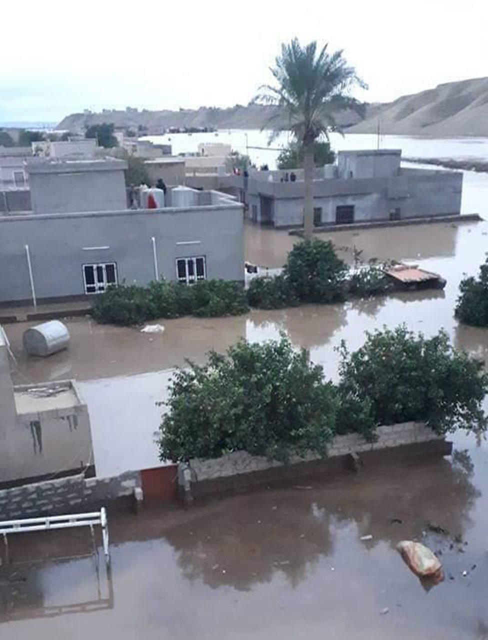الشرقاط