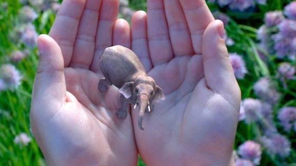 Esta es una de las primeras imágenes promocionales publicadas por Magic Leap en junio de 2014. (Foto: Magic Leap). Magic Leap (Foto: Magic Leap).