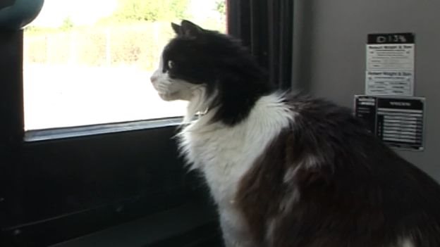 卡斯珀（Casper）