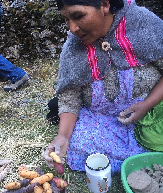 Mujer en los Andes bolivianos preparando oca