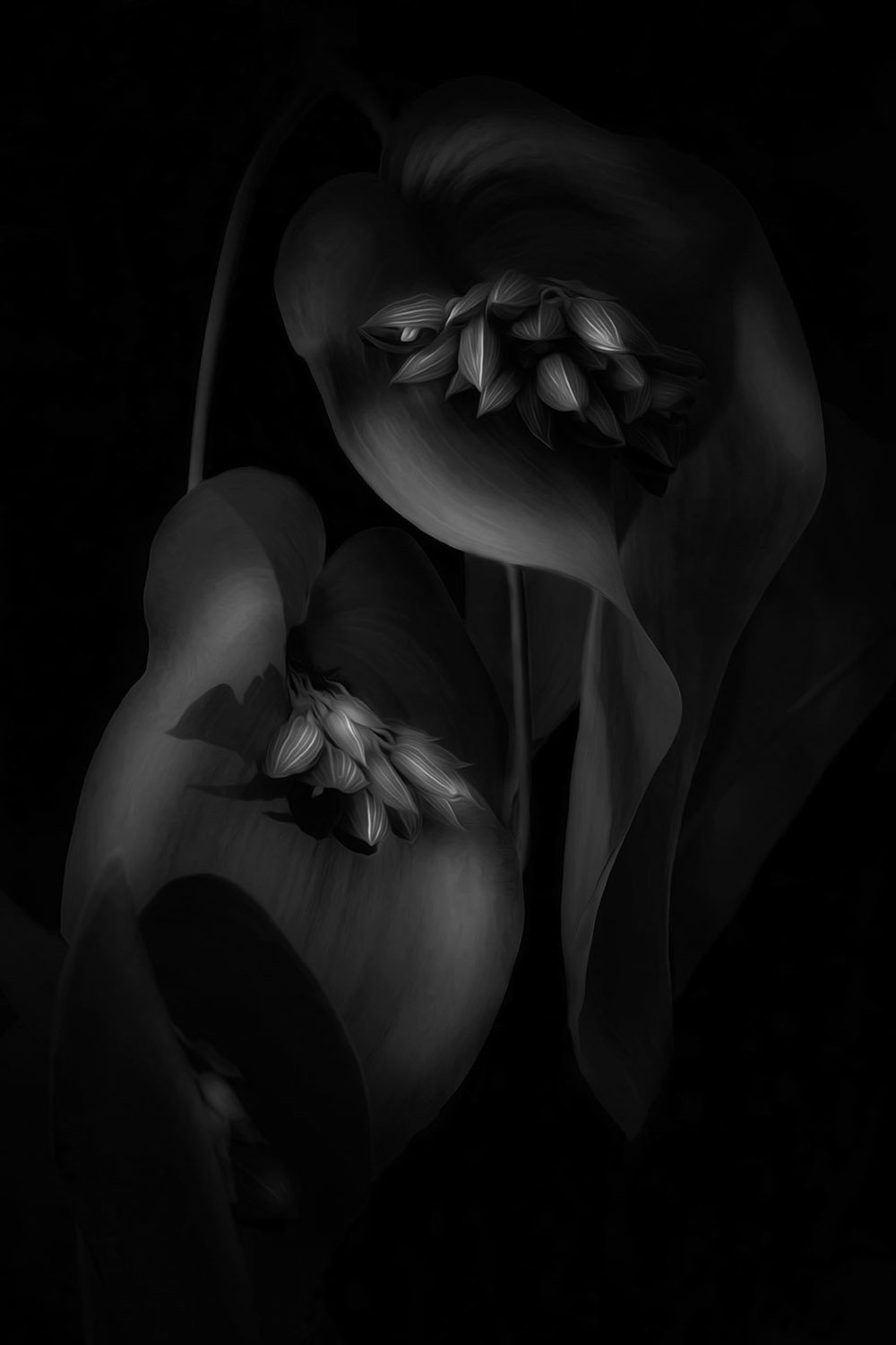 Изображение цветка орхидеи крупным планом