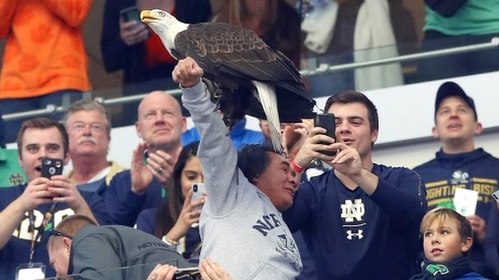 Tuyen Nguyen pictured with Clark the bald eagle sitting on his outstretched arm