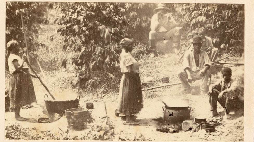 Escravos trabalham em uma plantação de café no Brasil