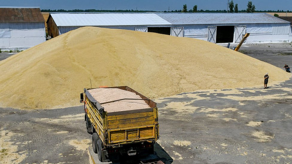 러시아는 정말 우크라이나에서 곡물을 빼내 수출하고 있나? - Bbc News 코리아