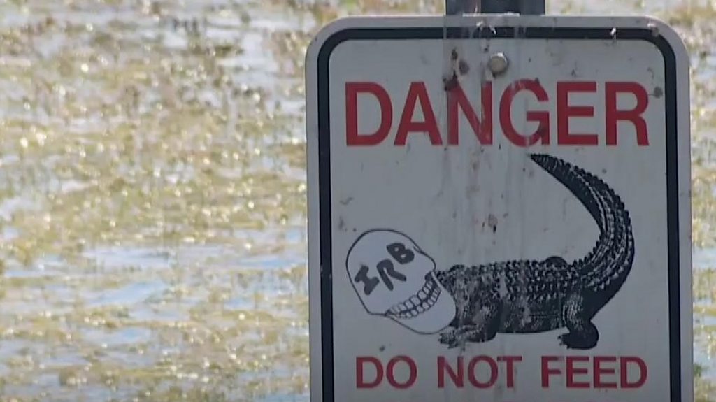 Florida man loses his arm in alligator attack