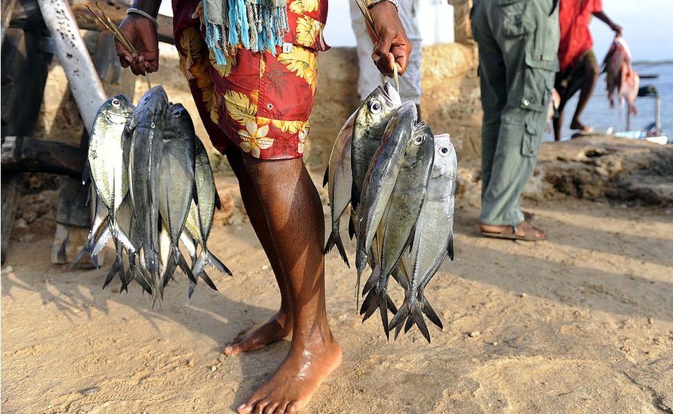 Рыбаки в Ламу держат улов для продажи на рынке в 2012 году.