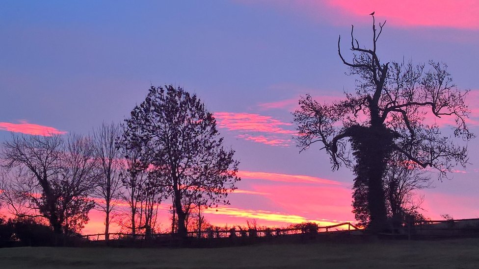 Purple Skies Seen Across England With Sunrises c News