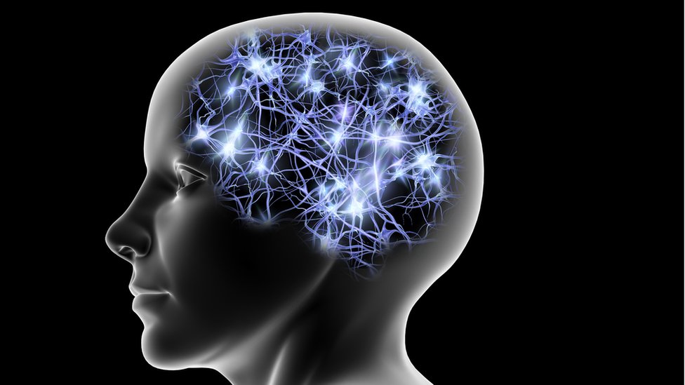 Gracias a ella, potenciaremos nuestra capacidad cognitiva, dice Musk. cerebro