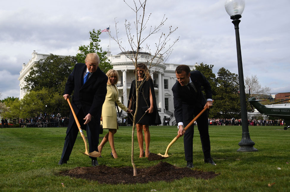 Трамп и Макрон сажают дерево из Белло Вудс