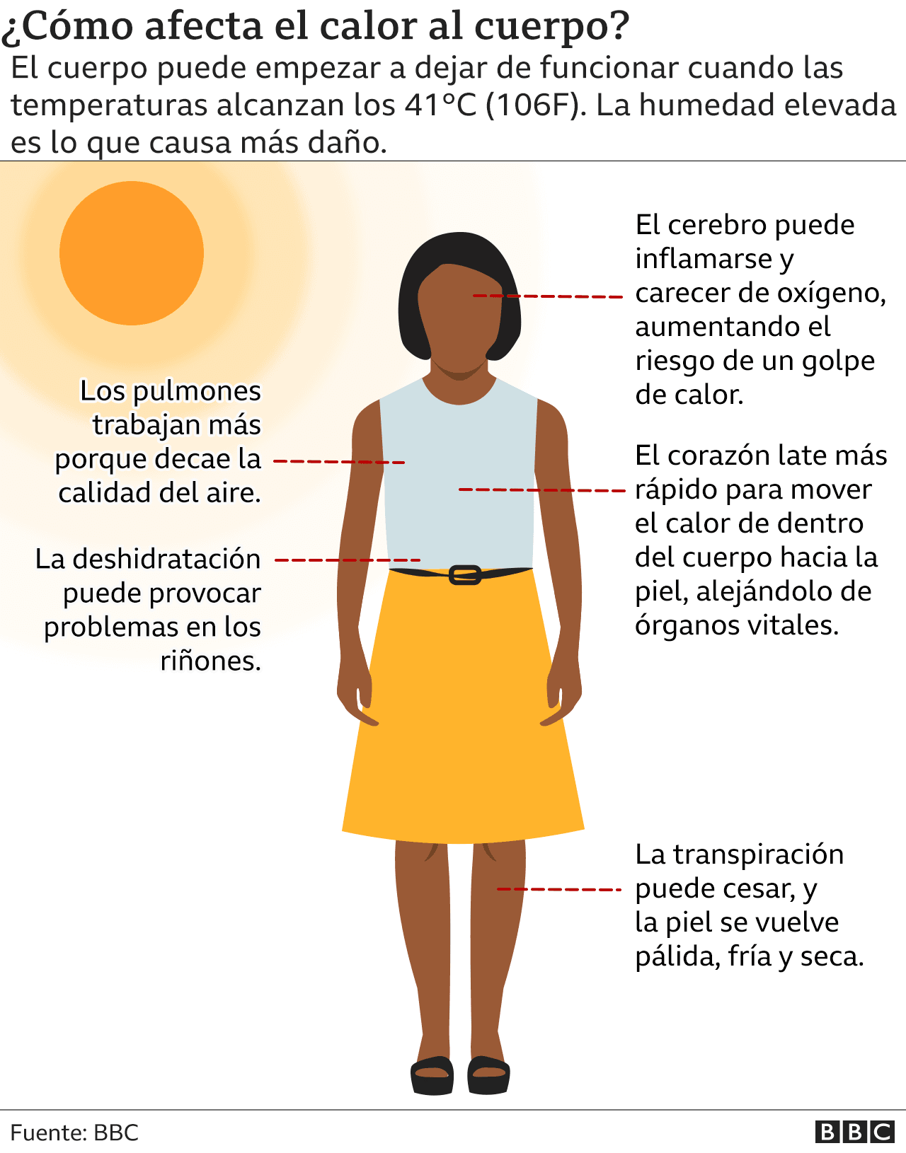 Gráfico sobre el impacto del calor en el cuerpo.