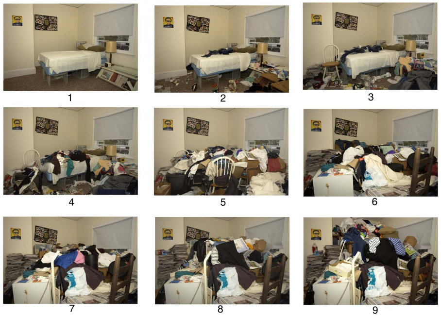 Images to assess compulsive hoarding