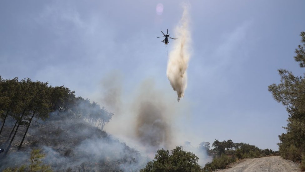Orman yangınları: Hangi iddialar ortaya atıldı, yetkililer ne yanıt verdi?