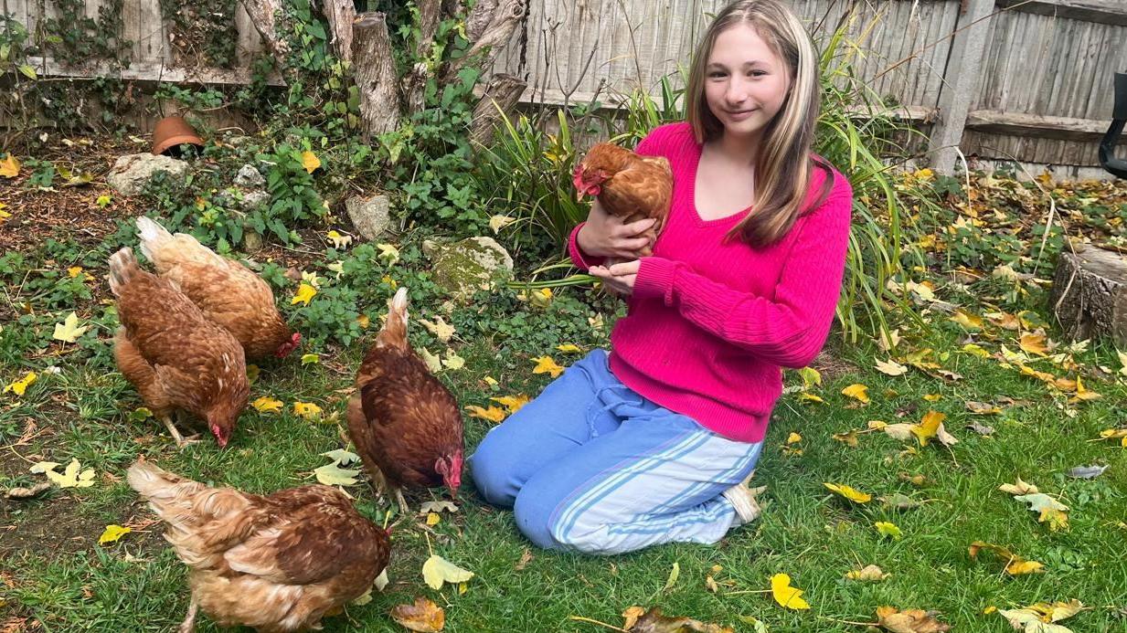【おまとめ】【Bedtime】【Feeding the chickens】他２点 FREE Superfood Helps Chickens Lay More (grows everywhere!) - YouTube