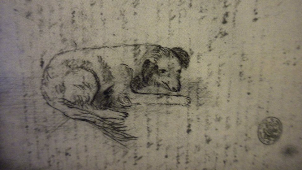 Pencil sketch of Tray, by Mary Anning