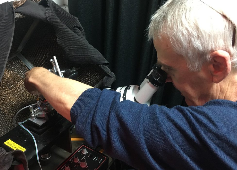 Roger Hardie estudia es sistema de visión de las moscas. Roger Hardie