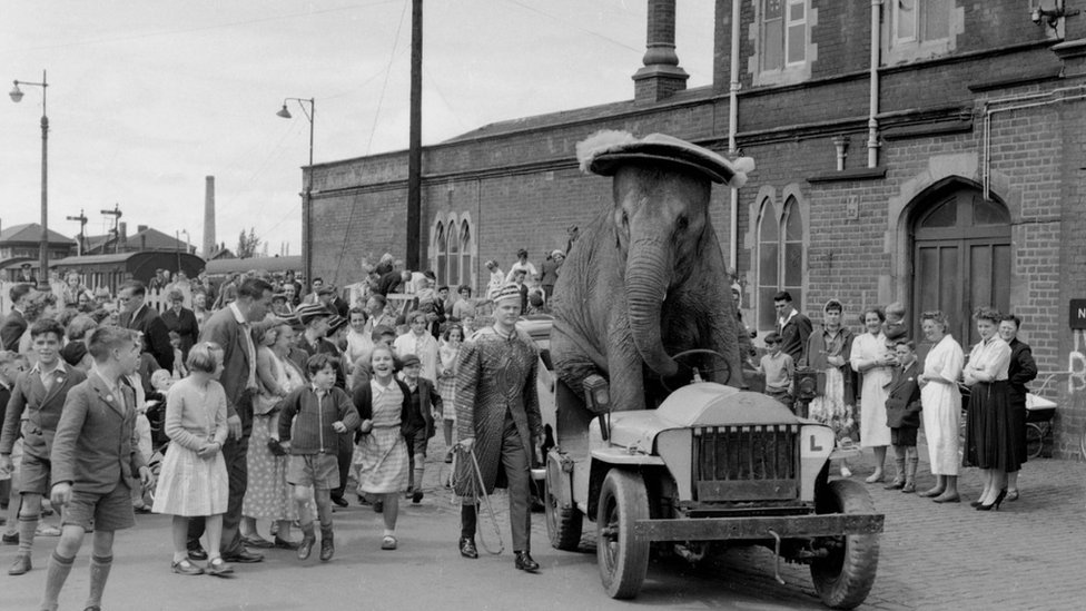 Цирковой слон в сделанной на заказ машине, дата неизвестна