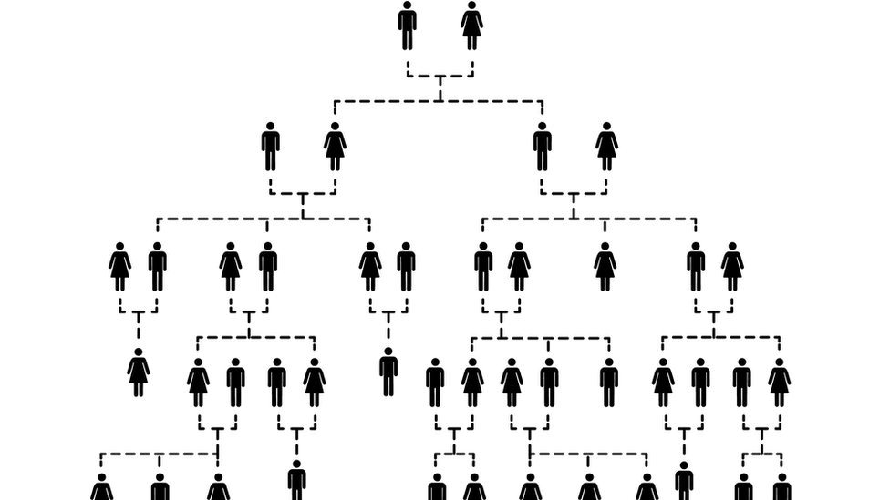 Ilustración árbol genealógico.