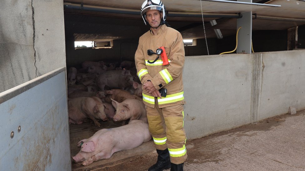 Один из пожарных, которые помогли спасти фермерский бекон