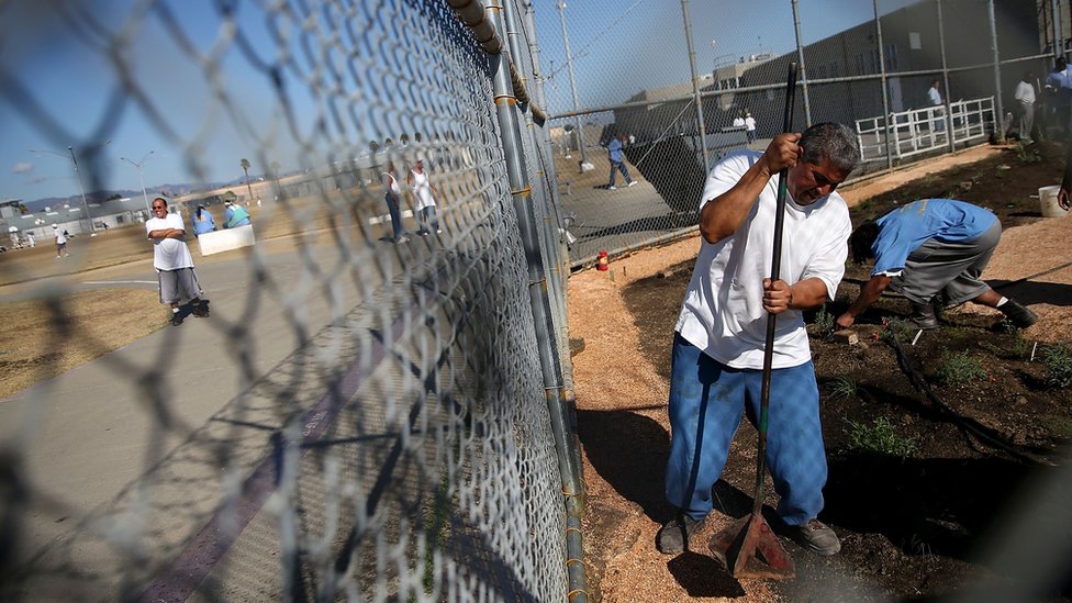Заключенный тюрьмы штата Калифорния в Солано упаковывает разложившийся гранит с помощью ручного инструмента во время установки устойчивого к засухе сада во дворе тюрьмы 19 октября 2015 года в Вакавилле, Калифорния.
