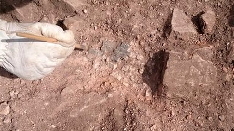 Мозаичный пол, обнаруженный во время археологических раскопок Clumber House