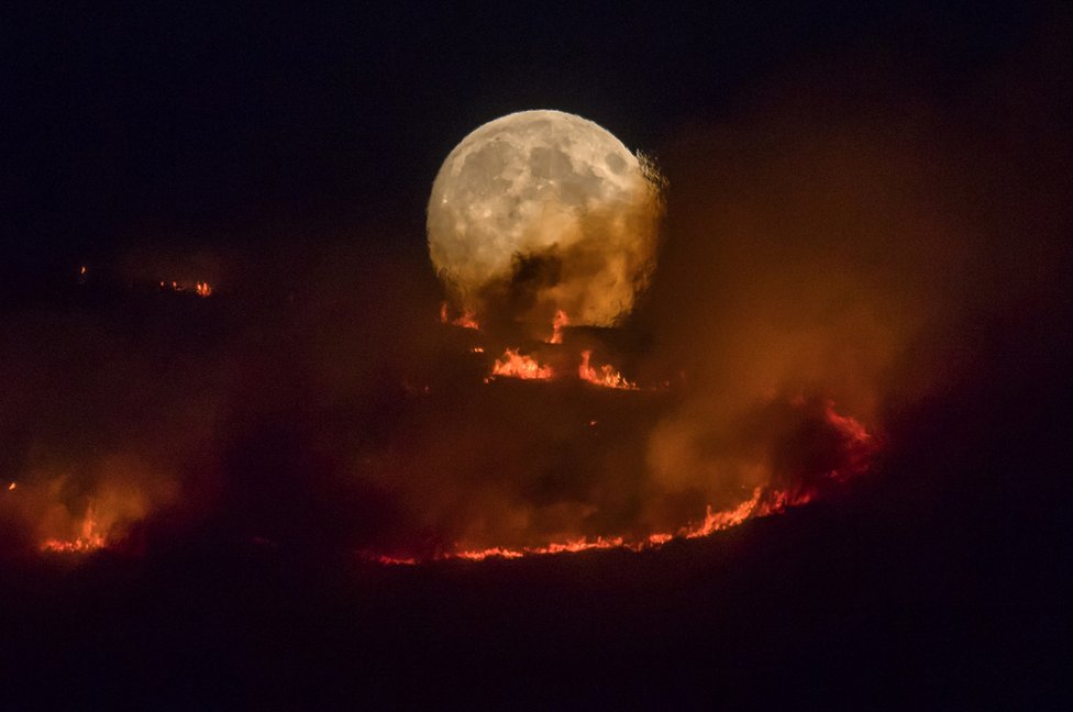 一輪明月亮從熊熊野火的上空冉冉升起。