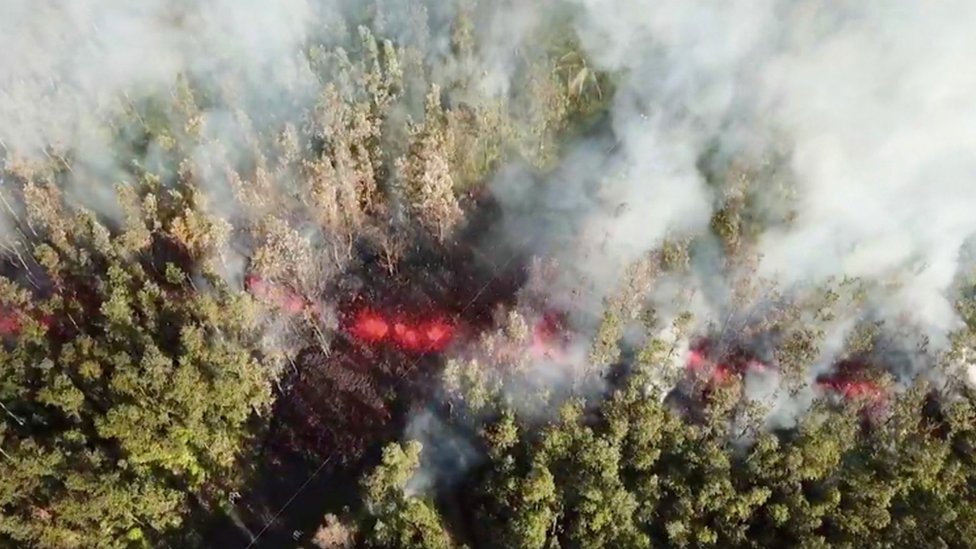 Ríos de lava en los bosques.