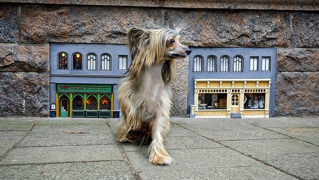 The secret artists creating miniature buildings for street mice