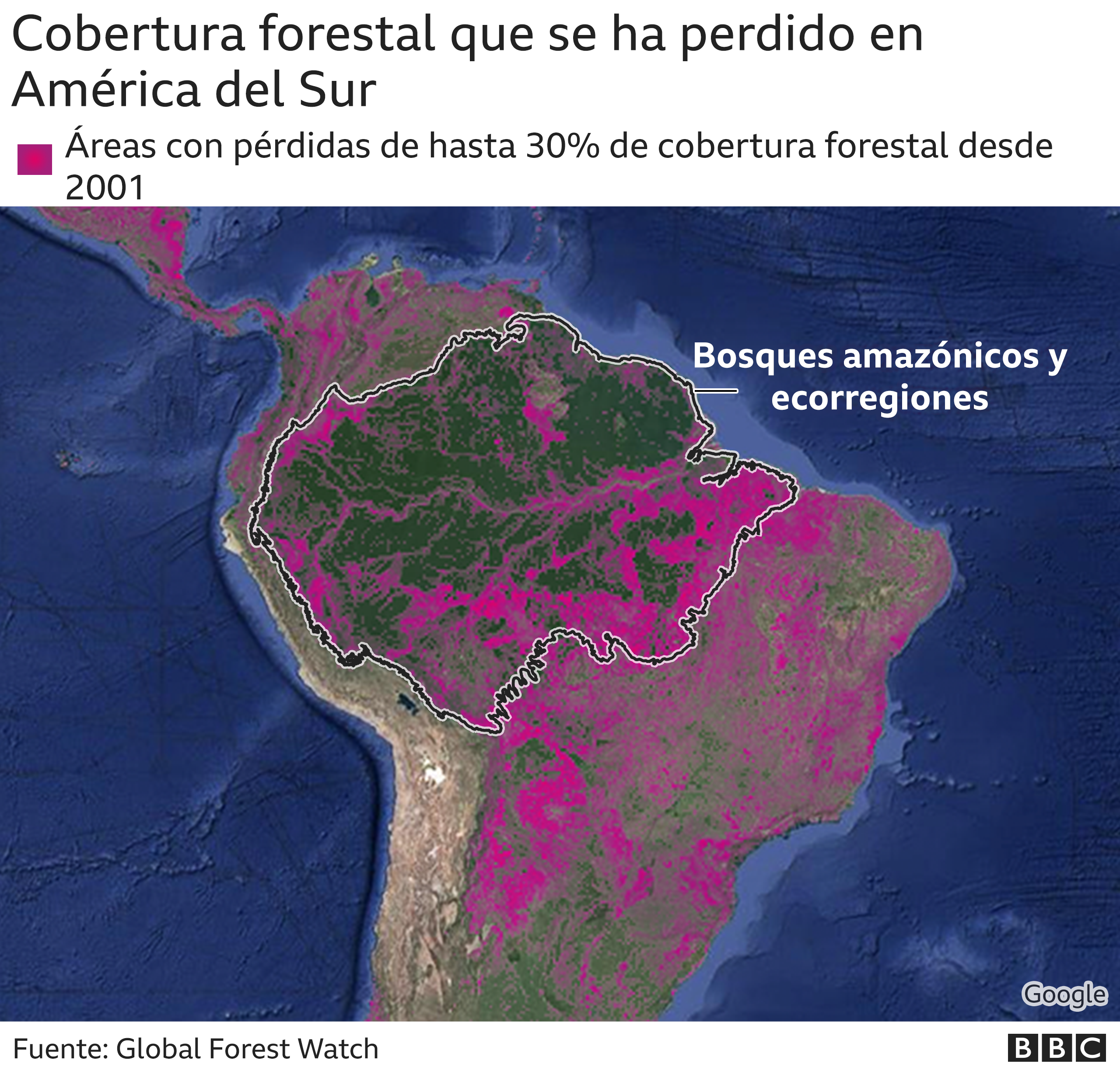 bosques