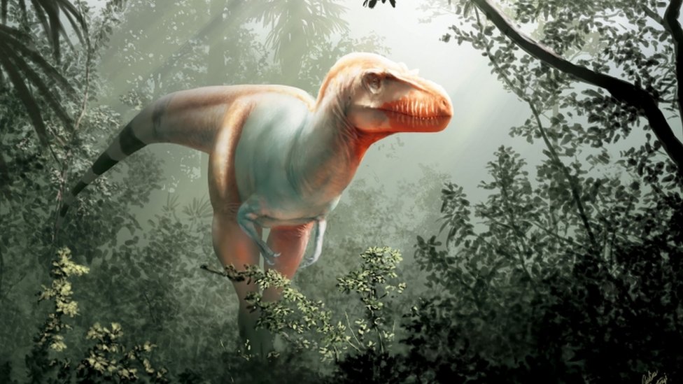Cómo era el "Segador de la muerte", una nueva especie de dinosaurio que  vivió antes que el 'Tyrannosaurus rex' - BBC News Mundo