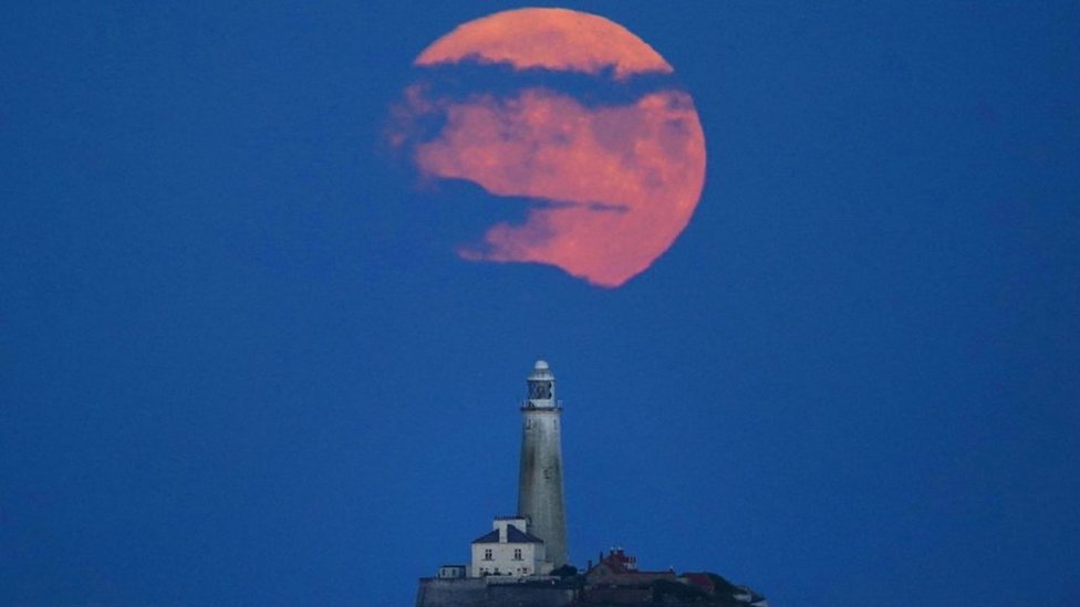 Buck Moon: July supermoon appears brighter than usual in the sky